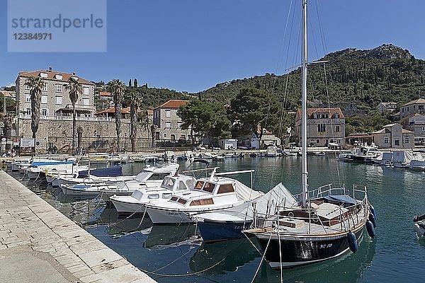 Yachthafen  Insel Lopud  Elaphitische Inseln  Dalmatien  Kroatien  Europa
