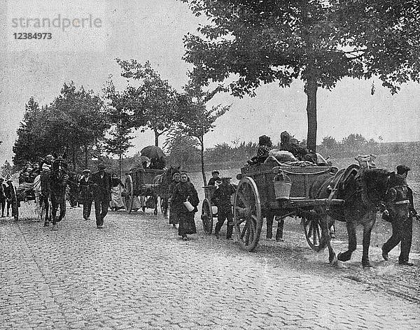 Belgische Bevölkerung bei der Evakuierung vor der deutschen Invasion  1914  Belgien  Europa