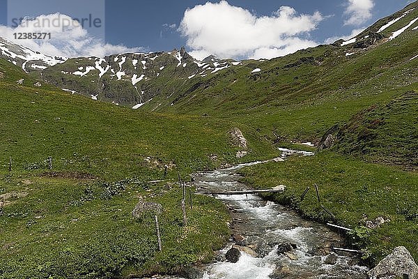 Gebirgsbach in den Hohen Tauern  Kärnten  Österreich  Europa