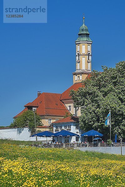 Kloster Reutberg  Frühlingswiese  Sachsenkam  Oberbayern  Bayern  Deutschland  Europa