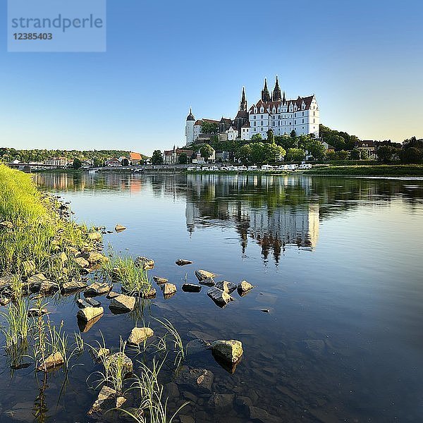 Burgberg mit Dom und Albrechtsburg spiegelt sich in der Elbe  Meißen  Sachsen  Deutschland  Europa