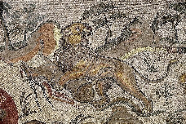Bodenmosaik eines Löwen  der eine Antilope reißt  Korridor der großen Jagd  Villa Romana del Casale  römische Villa aus dem 4. Jahrhundert nach Christus  Piazza Armerina  Provinz Enna  Sizilien  Italien  Europa
