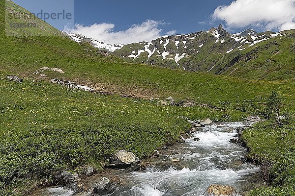 Gebirgsbach in den Hohen Tauern  Kärnten  Österreich  Europa