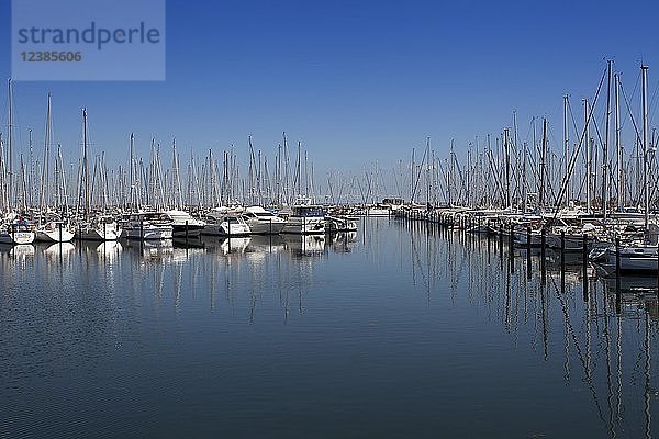 Segelboote in einem Yachthafen  Heiligenhafen  Schleswig-Holstein  Deutschland  Europa