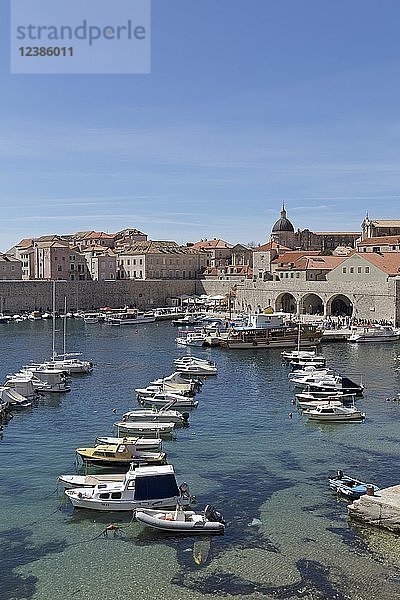 Alter Hafen  Altstadt  Dubrovnik  Kroatien  Europa