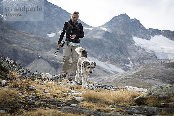 Ein Wanderer und sein Hund im Nationalpark Hohe Tauern  Kolm Saigurn  Rauris  Salzburger Land  Österreich  Europa