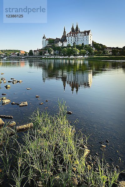 Burgberg mit Dom und Albrechtsburg spiegelt sich in der Elbe  Meißen  Sachsen  Deutschland  Europa