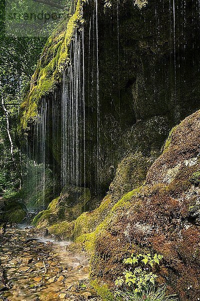 Schleierfall  Wasserfall in der Wutachschlucht  Schwarzwald  Baden-Württemberg  Deutschland  Europa