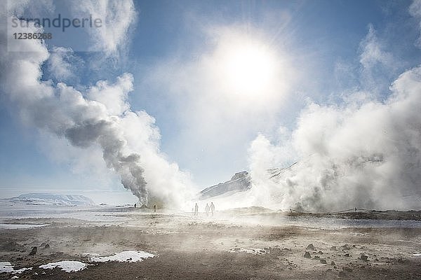 Fumarolen  aufsteigender Dampf  Geothermiegebiet Hverarönd  auch Hverir oder Namaskard  Nordisland  Island  Europa