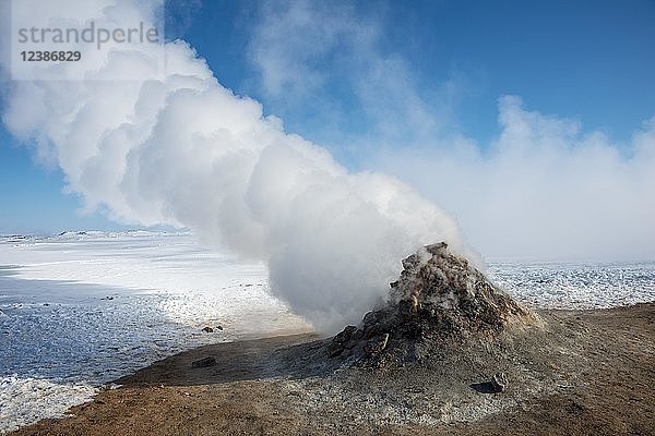 Dampfende Fumarole  Solfatara in Hverarönd  auch Hverir oder Namaskard  geothermisches Gebiet  Nordisland  Island  Europa