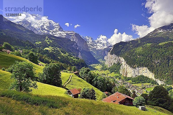 Blick von Wengen auf das Lauterbrunnental und die Berner Alpen mit der Jungfrau  Lauterbrunnen  Kanton Bern  Schweiz  Europa