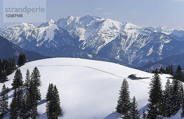 Blick auf das Hintere Sonnwendjoch  bei Kufstein  Tirol  Österreich  vom Wallberg aus gesehen  Oberbayern  Bayern  Deutschland  Europa