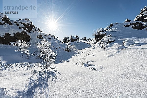 Sonne scheint auf schneebedecktes Lavafeld  Schneelandschaft  Vulkanlandschaft Krafla  Dimmuborgir National Park  Mývatn  Island  Europa