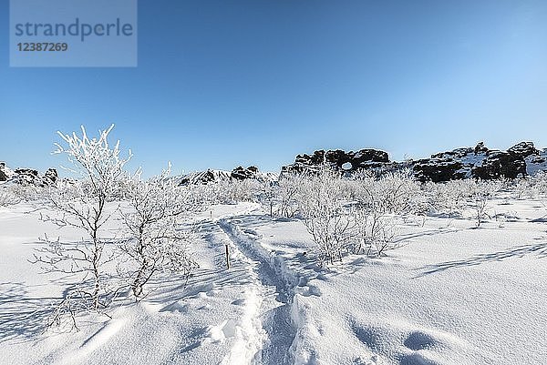 Fußspuren in verschneiter Landschaft  Büsche und schneebedecktes Lavafeld im Sonnenschein  Vulkanlandschaft Krafla  Dimmuborgir Nationalpark  Mývatn  Island  Europa