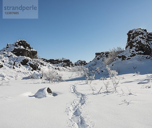 Fußspuren in verschneiter Landschaft  schneebedecktes Lavafeld im Sonnenschein  Vulkanlandschaft Krafla  Dimmuborgir Nationalpark  Mývatn  Island  Europa