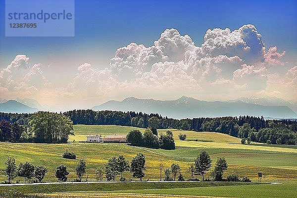 Haufenwolken (Cumulus) über Alpenkette  Alpenvorland  Oberbayern  Bayern  Deutschland  Europa