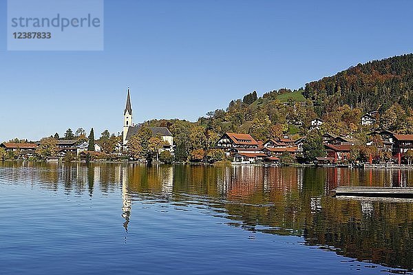 Blick auf den Schliersee mit Pfarrkirche St. Sixtus und See  Schliersee  Oberbayern  Bayern  Deutschland  Europa