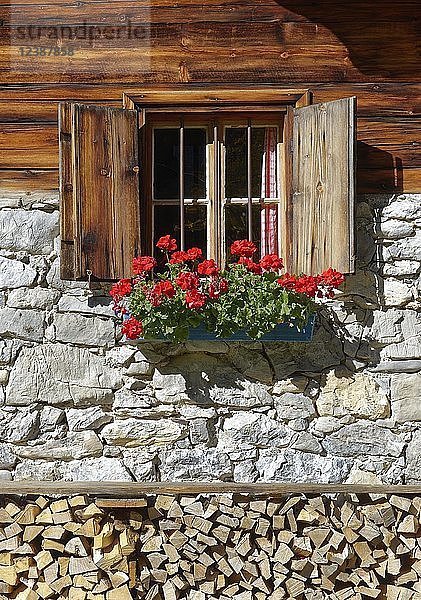 Fenster mit roten Geranien am Bauernhaus  Eng-Alm  Großer Ahornboden  Rißtal  Tirol  Österreich  Europa