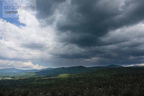 Aufziehendes Gewitter  Stratocumuluswolken  Bayerischer Wald  Neuschönau  Nationalpark Bayerischer Wald  Niederbayern  Bayern  Deutschland  Europa