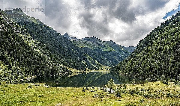 Blick ins Tal über den Riesachsee  Rohrmoos-Untertal  Schladminger Tauern  Schladming  Steiermark  Österreich  Europa