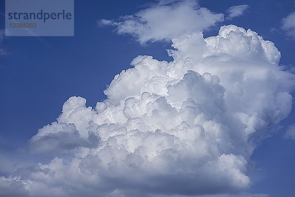 Kumuluswolken (Cumulus)  Bayern  Deutschland  Europa