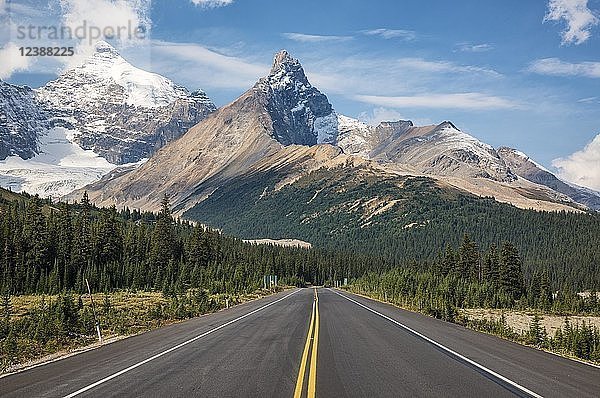 Blick vom Icefields Parkway  Highway 93 zum Mount Athabasca und Hilda Peak  Jasper National Park  Rocky Mountains  Alberta  Kanada  Nordamerika
