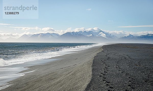 Schwarzer Sandstrand mit Spuren  Lavastrand  schneebedeckte Berge  Naturschutzgebiet Hvalnes  Südisland  Island  Europa