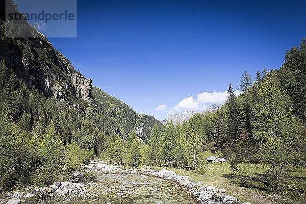 Die Seidwinklache im Seidwinkltal im Nationalpark Hohe Tauern  Rauris  Salzburger Land  Österreich  Europa