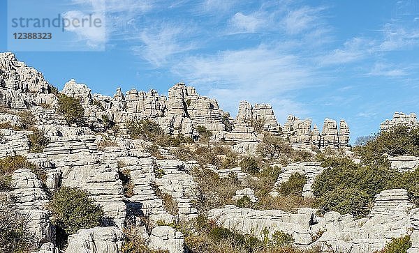 Felsformationen aus Kalkstein  Naturpark El Torcal  Torcal de Antequera  Provinz Malaga  Andalusien  Spanien  Europa