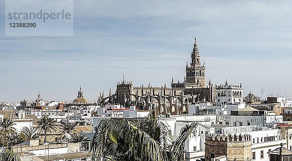 Stadtansicht mit Kathedrale von Sevilla  Sevilla  Andalusien  Spanien  Europa