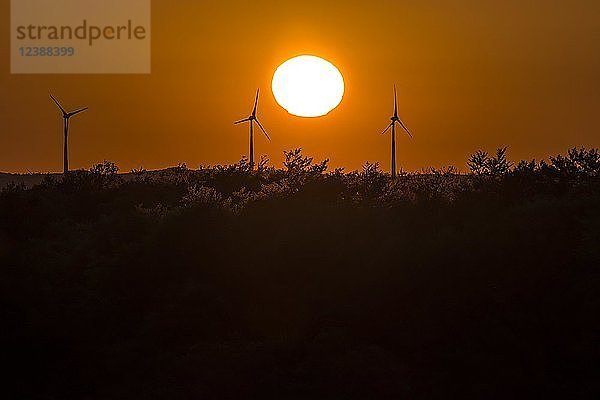 Silhouetten von Windkraftanlagen bei Sonnenuntergang  Mecklenburg-Vorpommern  Deutschland  Europa