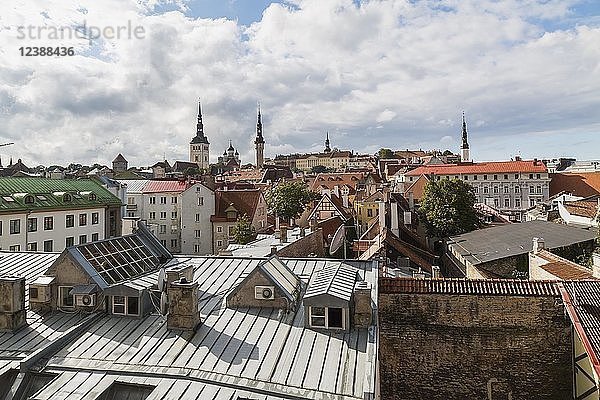 Blick über die Stadt  Tallinn  Estland  Europa
