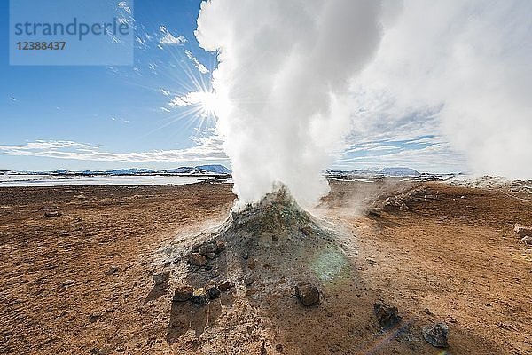 Dampfende Fumarole  Solfatara in Hverarönd  auch Hverir oder Namaskard  geothermisches Gebiet  Nordisland  Island  Europa