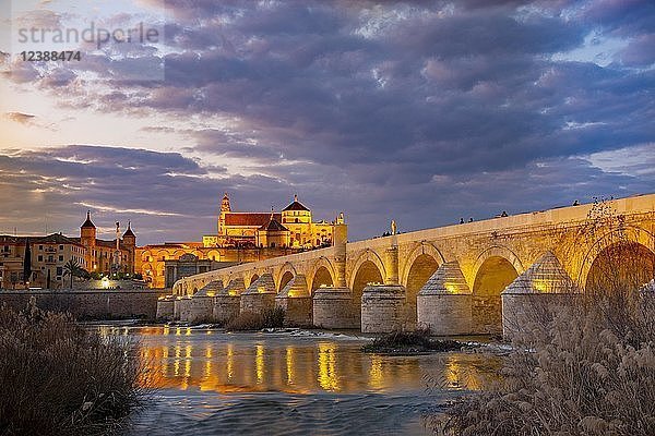 Beleuchtete Puente Romano  Römische Brücke über den Rio Guadalquivir  hinter der Mezquita  Catedral de Córdoba  Nachtansicht  Cordoba  Andalusien  Spanien  Europa