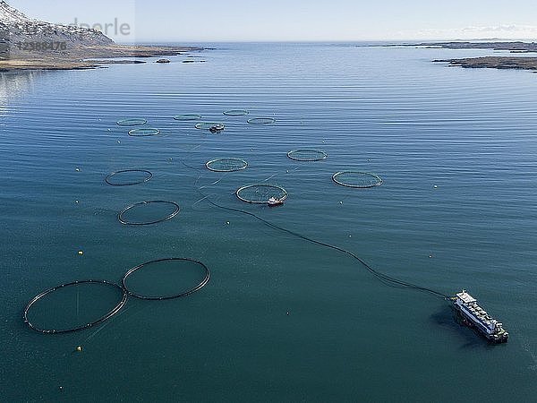 Luftaufnahme  Fischzucht in großen Freiwassernetzen im Meer  Fjord  Island  Europa