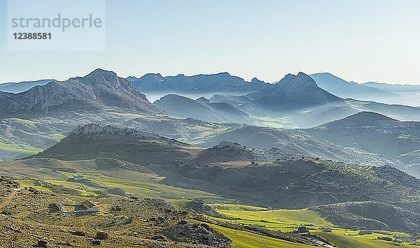 Hügelige grüne Berglandschaft  Sierra de las Cabras  Provinz Albacete  Andalusien  Spanien  Europa