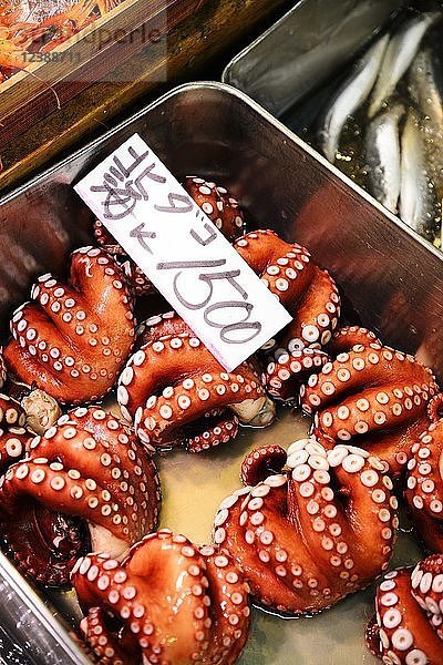 Oktopus wird in Schale angeboten  Meeresfrüchte  Fischmarkt Tsukiji  Tokio  Japan  Asien