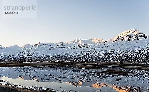 Wasserspiegelung  schneebedeckte Berge in einem Fjord  Ostisland  Island  Europa