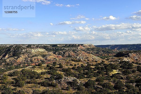 Weite offene Landschaft  Palo Duro Canyon State Park  Texas  USA  Nordamerika