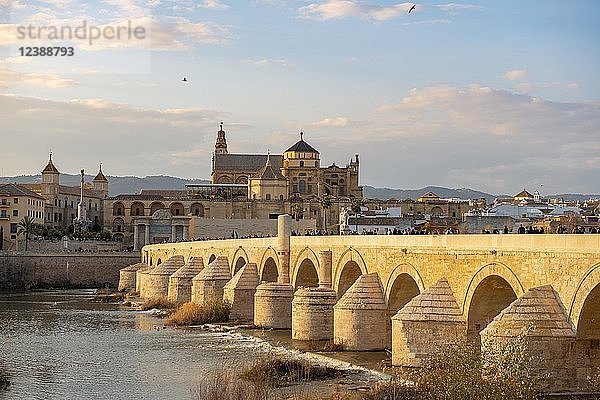 Puente Romano  römische Brücke über den Rio Guadalquivir  hinter der Mezquita  Catedral de Córdoba  Cordoba  Andalusien  Spanien  Europa