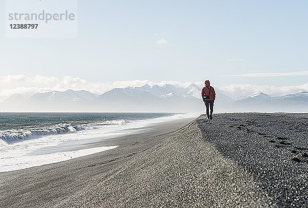 Mann spaziert am Meer  schwarzer Sandstrand  Lavastrand  schneebedeckte Berge  Hvalnes Naturreservat  Südisland  Island  Europa