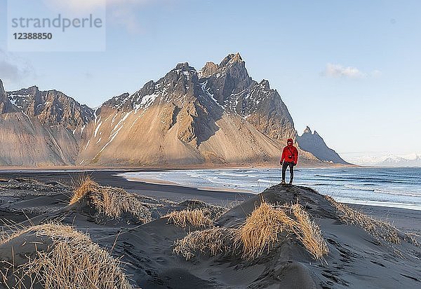 Mann in roter Jacke steht auf Dünen mit trockenem Gras  schwarzer Lavastrand  Sandstrand  Berge Klifatindur  Eystrahorn und Kambhorn  Landzunge Stokksnes  Gebirgszug Klifatindur  Austurland  Ostisland  Island  Europa