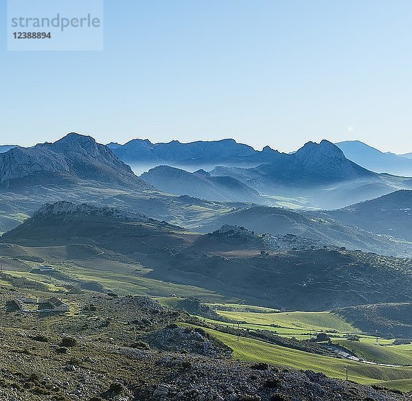 Hügelige grüne Berglandschaft  Sierra de las Cabras  Provinz Albacete  Andalusien  Spanien  Europa