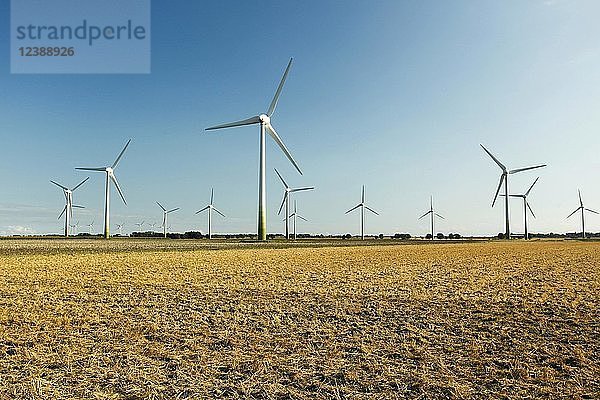 Windpark auf abgeerntetem Stoppelfeld  bei Klausdorf  Insel Fehmarn  Schleswig-Holstein  Deutschland  Europa