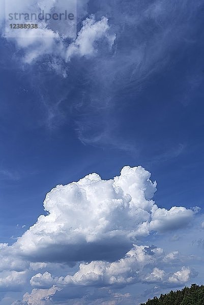 Kumuluswolke (Cumulus)  Bayern  Deutschland  Europa