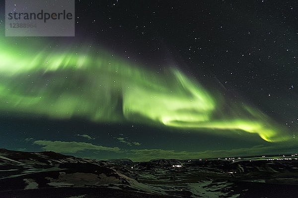Nordlicht (Aurora borealis)  bei Mývatn  Norðurland Eystra  Nordisland  Island  Europa