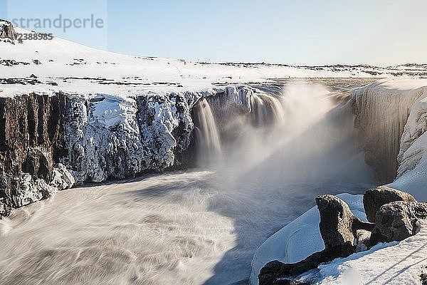 Fallende Wassermassen des Selfoss-Wasserfalls im Winter  Schlucht  Nordisland  Island  Europa
