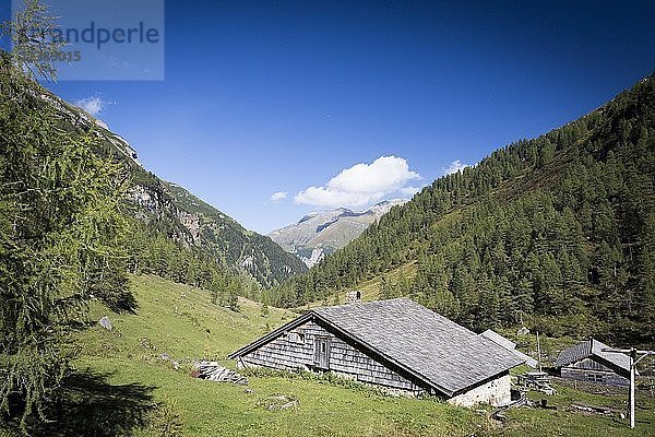 Die Litzlhofalm im Seidwinkltal im Nationalpark Hohe Tauern  Rauris  Salzburger Land  Österreich  Europa