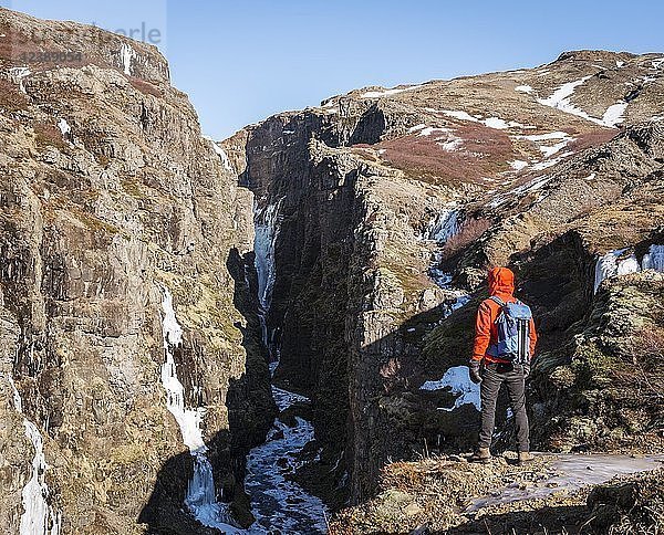 Mann in orangefarbener Jacke steht an der Schlucht des Glymur-Wasserfalls  Hvalfjarðarsveit  Vesturland  Island  Europa