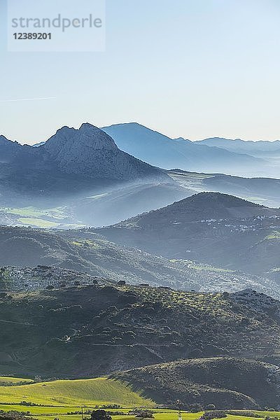 Hügelige grüne Berglandschaft  Sierra de las Cabras  Provinz Albacete  Andalusien  Spanien  Europa